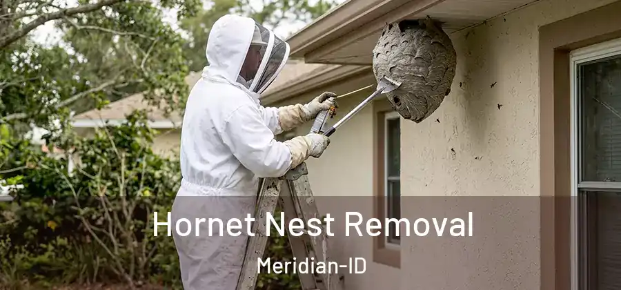 Hornet Nest Removal Meridian-ID