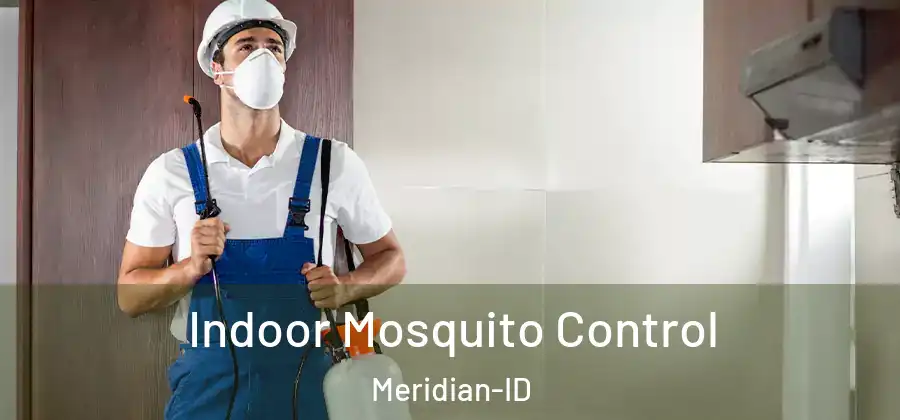  Indoor Mosquito Control Meridian-ID