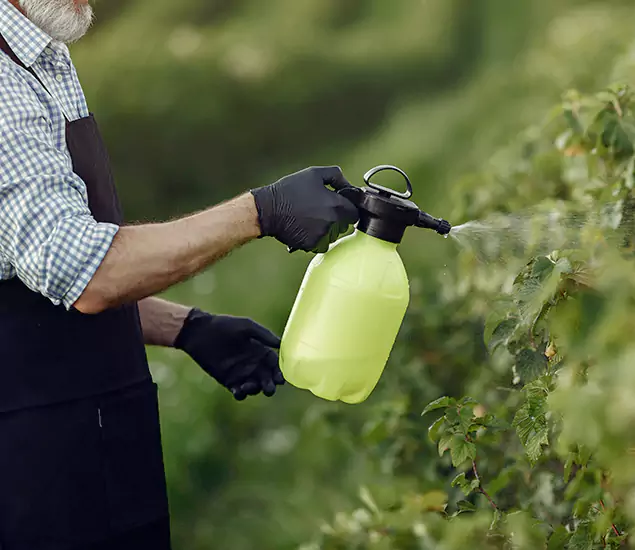 Your Proven Mosquito Treatment Company in Meridian, ID