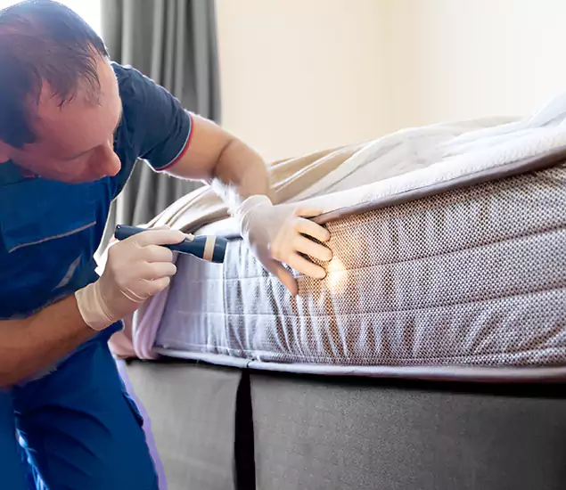 Trusted Bed Bug Cost Experts in Meridian, ID