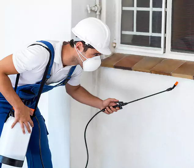 Your Professional Cockroach Exterminator in Meridian, ID
