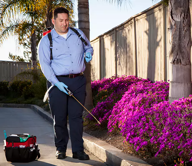 About Our Eco Safe Pest Control Experts in Meridian, ID