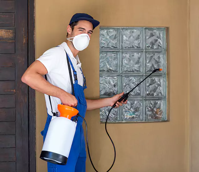 Your Reliable Pest Control in Meridian, ID
