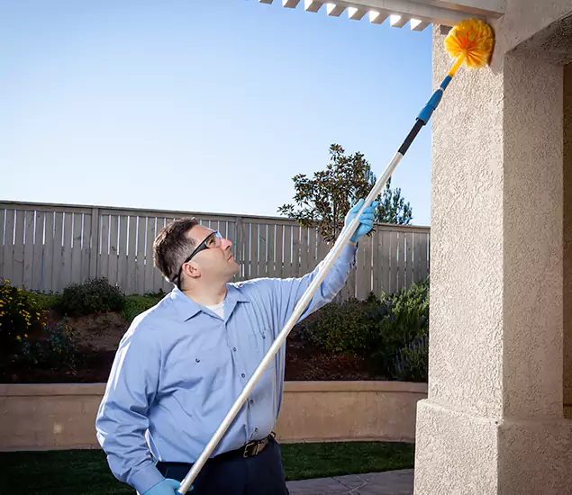 Trusted Experts in Meridian ID for Formosan Termite Treatment and Black Termite Control