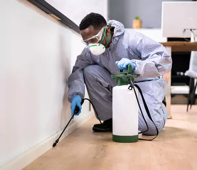 Leading Industrial Pest Control Experts Serving Meridian, ID