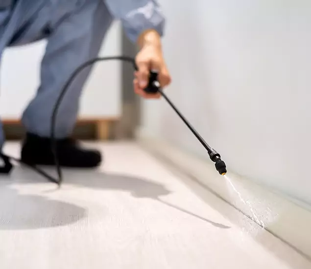 About Our Liquid Termite Treatment Experts in Meridian, ID