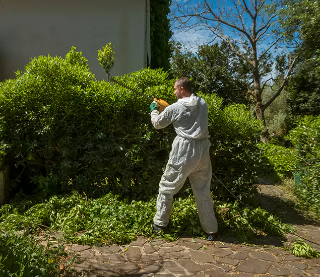 Your Trusted Mosquito Control Company in Meridian, ID