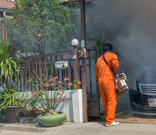Your Proven Mosquito Fogging Company in Meridian, ID