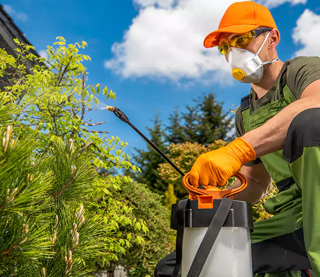 Your Best Bug Spray for Home Team in Meridian, ID