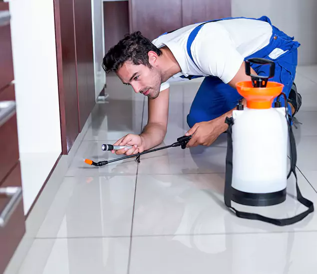 Reliable Professional Mouse Removal: Your Best Mouse Control Company in Meridian, ID