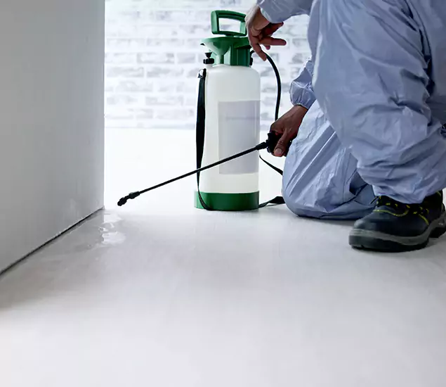 Affordable Pest Control Experts in Meridian, ID