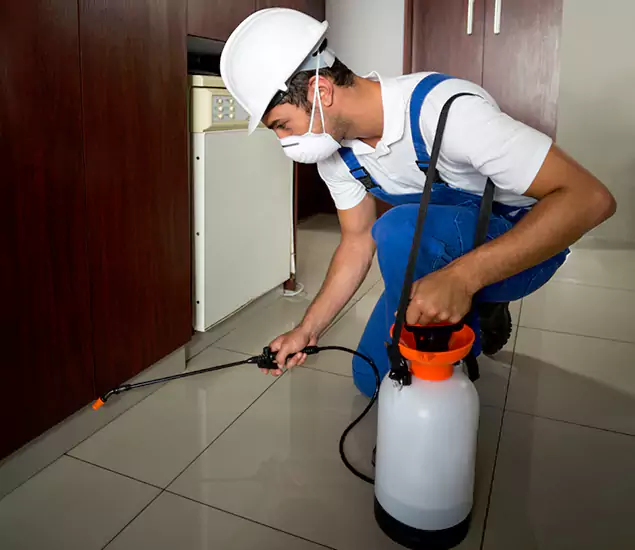 Advanced Termite Pre Treatment Experts in Meridian, ID