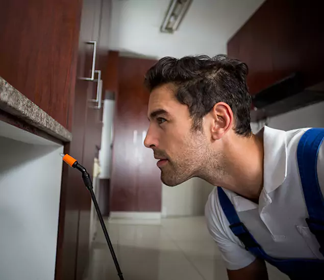 Expert Rodent in Attic Removal: Your Proven Pest Specialists in Meridian, ID