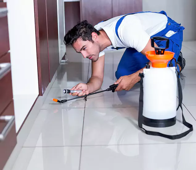 Advanced Slab Termite Treatment Experts You Can Trust&nbsp;in Meridian, ID