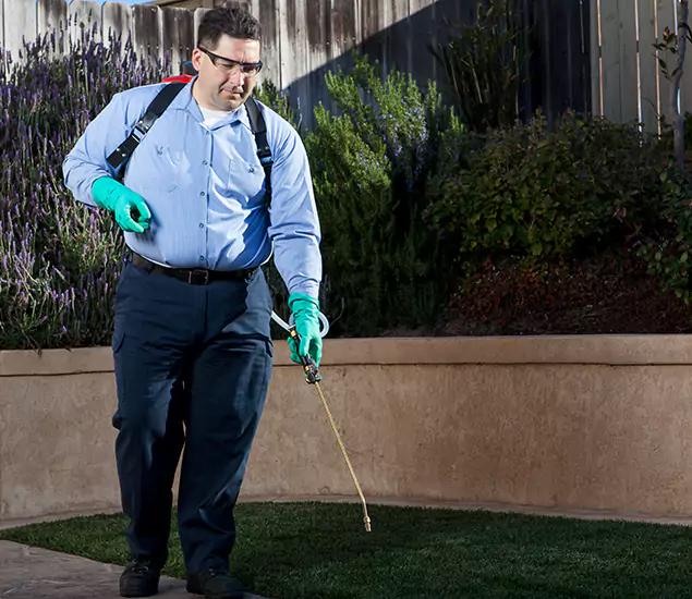 Reliable Termite Barrier Treatment Experts in Meridian, ID