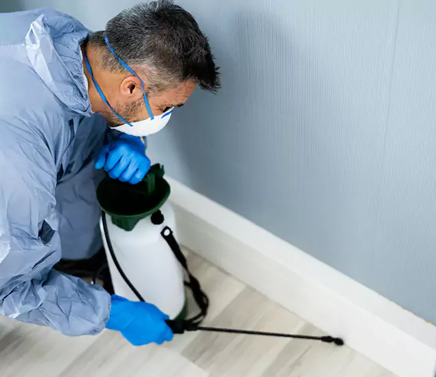 Reliable Termite Cost Experts in Meridian, ID