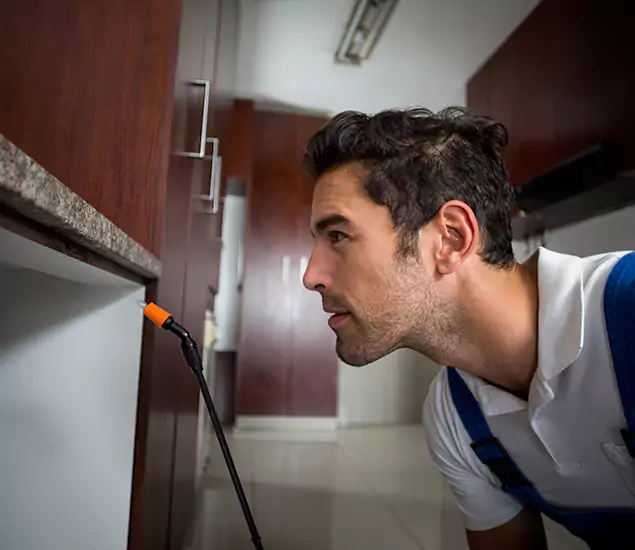 Termite Inspection Cost Experts You Can Trust in Meridian, ID