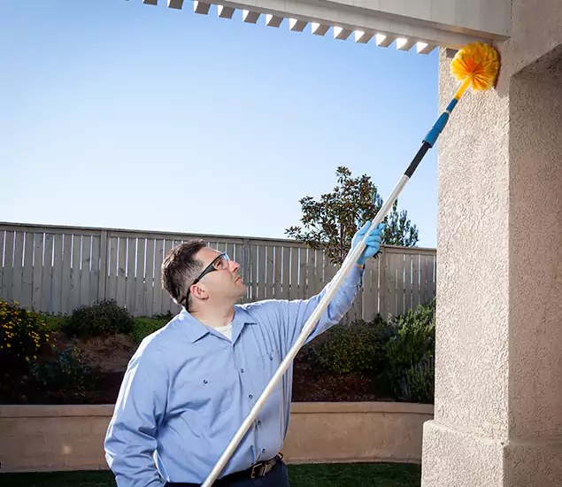 Your Trusted Wasp Removal Company in Meridian, ID