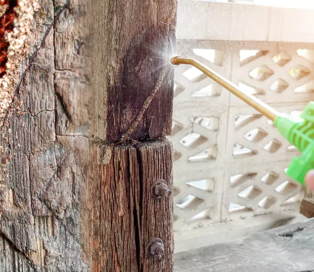 About Wood Termite Treatment Services in Meridian, ID
