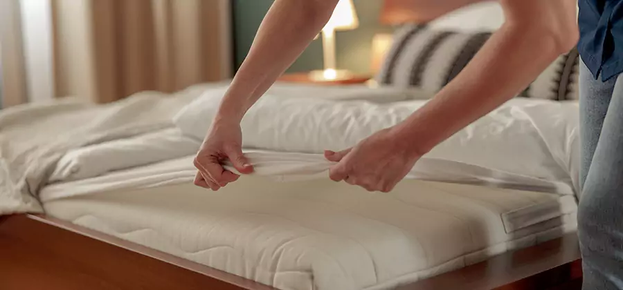 Bed Bug Extermination Services in Meridian