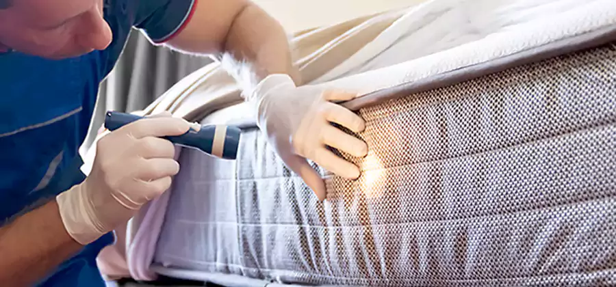 Residential Bed Bug Treatment Cost in Meridian