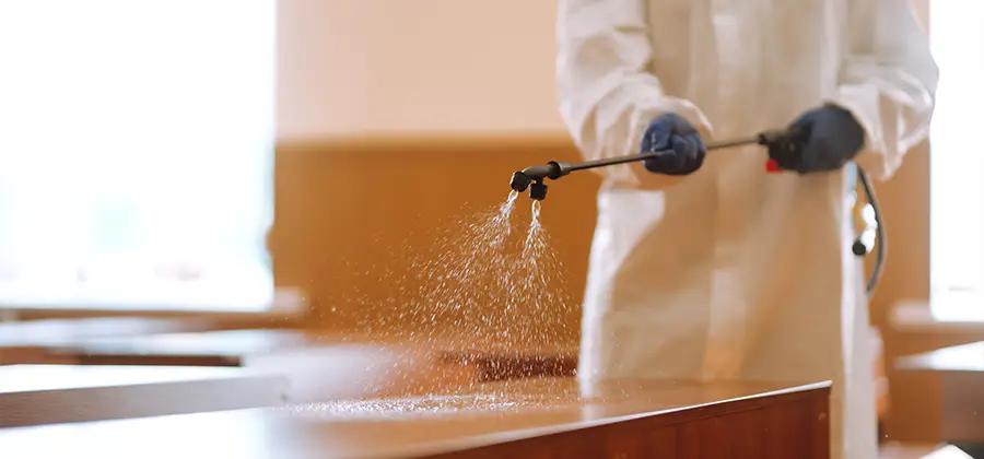 Residential Bed Bug Treatment Option in Meridian