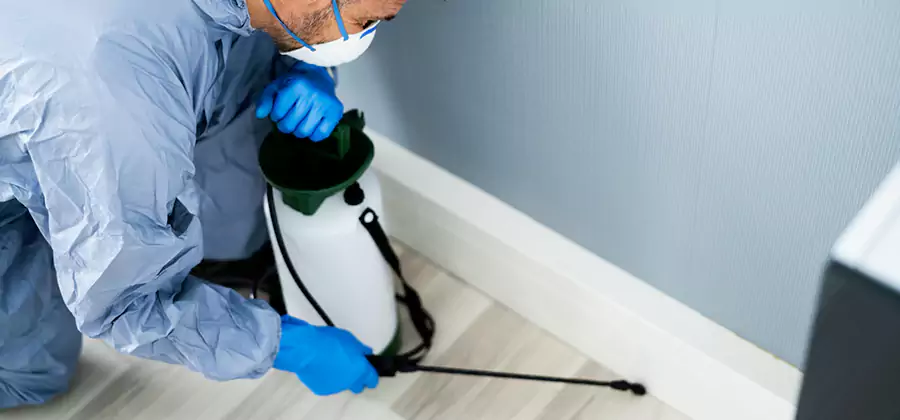Fumigate Apartment Roaches in Meridian