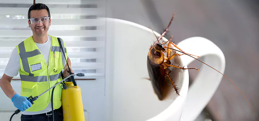 German Roach Infestation Treatment Meridian