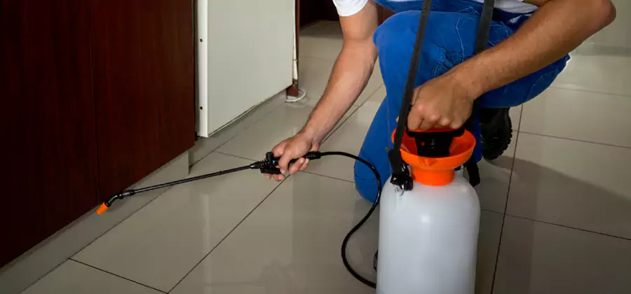 Indoor Mosquito Treatment in Meridian