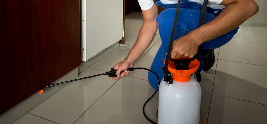 Indoor Insect Killer Solutions in Meridian