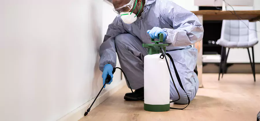 Long Lasting Mosquito Treatment in Meridian