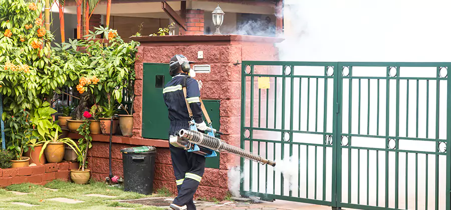 Backyard Mosquito Foggers Service in Meridian