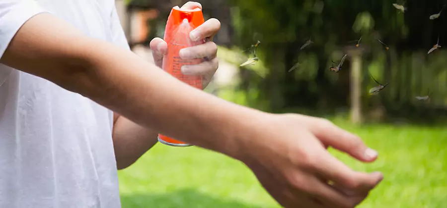 Mosquito and Tick Control Services in Meridian