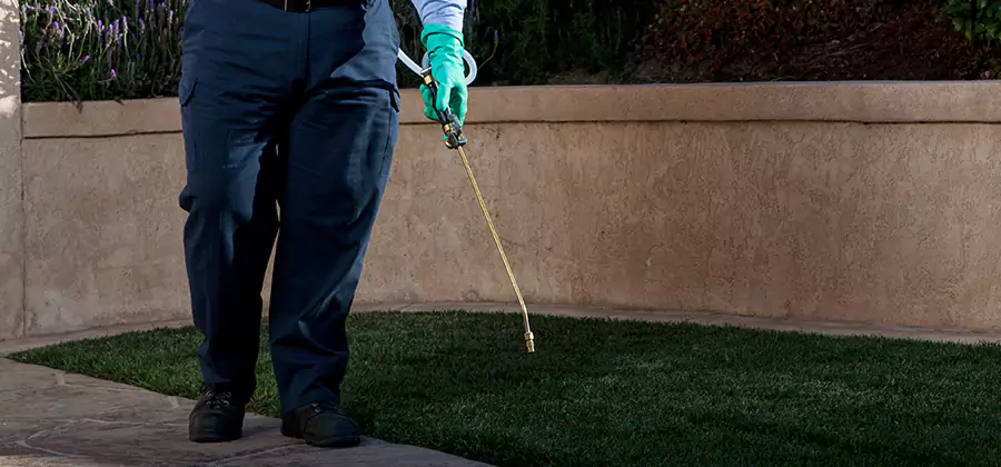 Soil Treatment for New Construction Termites in Meridian