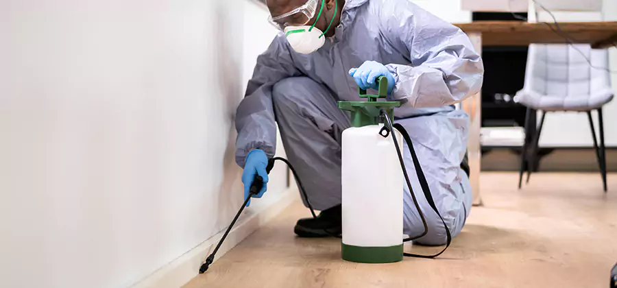 No Tent Termite Extermination With Electric Tool in Meridian
