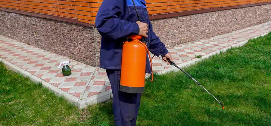 Non Toxic Termite Treatment in Meridian