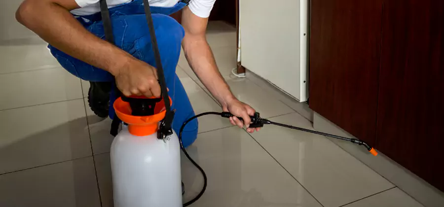 One Time Termite Control in Meridian
