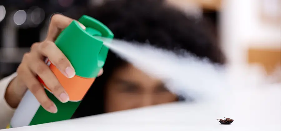 Child Safe Bed Bug Treatment in Meridian