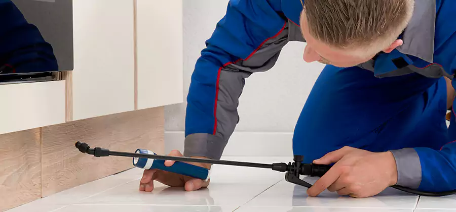 Moisture Treatment For Termite Control Service in Meridian