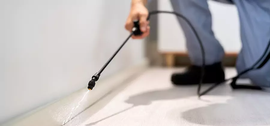 Direct Termite Injection Treatment in Meridian
