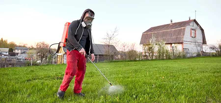 Flea and Tick Pest Control in Meridian