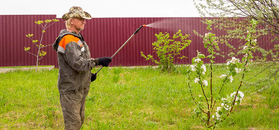 Flea and Tick Spray for Yard in Meridian