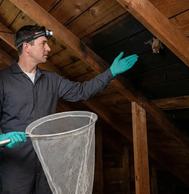 Why Meridian Pest Control Pro Is the Right Choice in Meridian, ID?