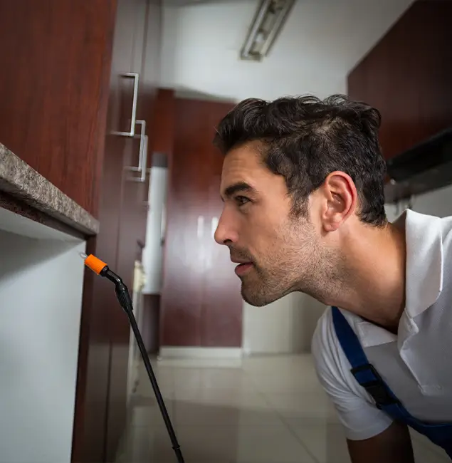Why Choose Meridian Pest Control Pro for Bed Bug Removal Cost in Meridian, ID?