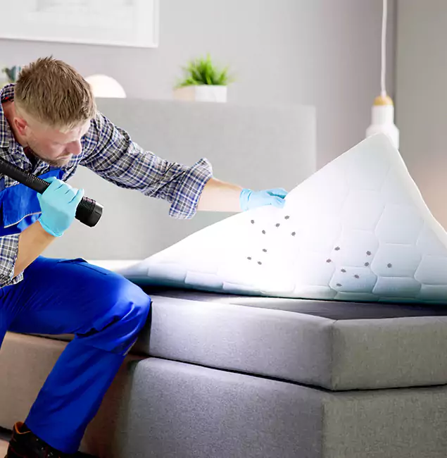 Why Choose Meridian Pest Control Pro in Meridian, ID?
