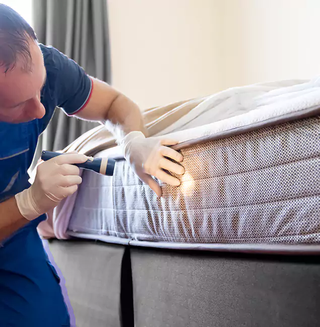 Why Choose Meridian Pest Control Pro for Bed Bug Services in Meridian, ID?