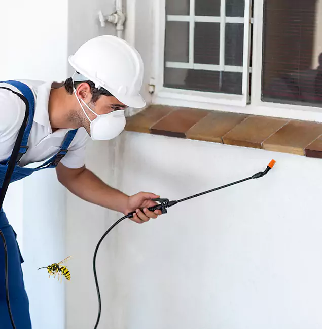 Why Meridian Property Owners Choose Meridian Pest Control Pro for Bee Nest Removal?