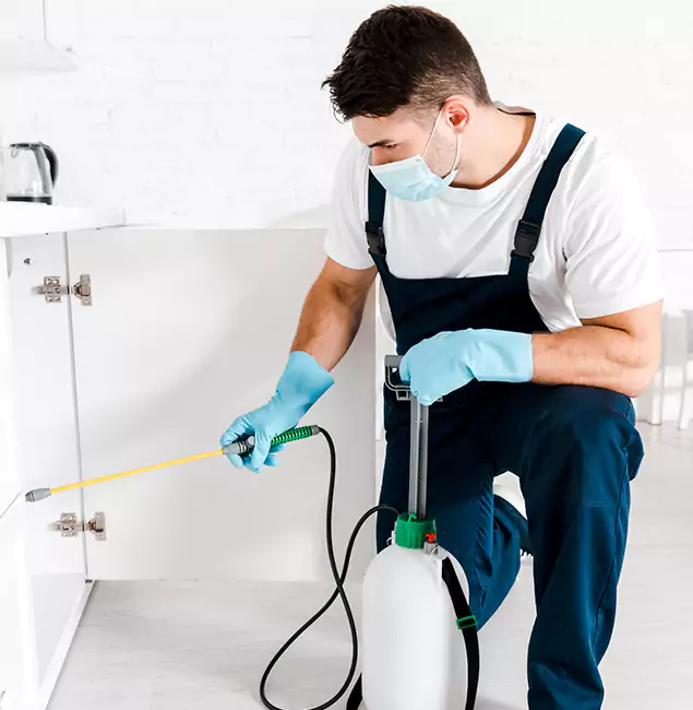 Why Choose Meridian Pest Control Pro for Emergency Pest Control in Meridian?