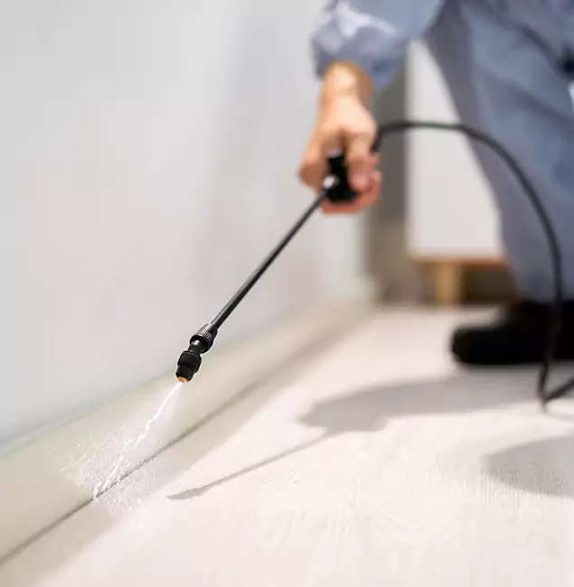Why Choose Meridian Pest Control Pro for Termite Treatment in Meridian, ID?