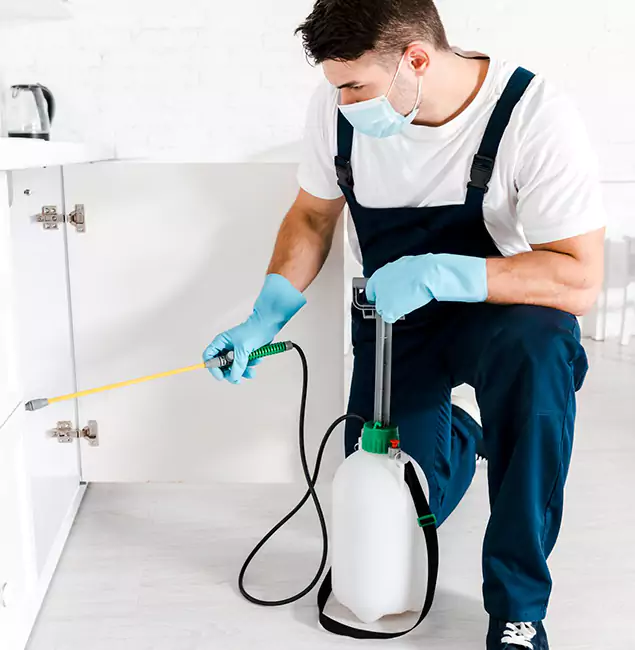 Why Meridian, ID Homeowners Trust Us for German Roach Control?